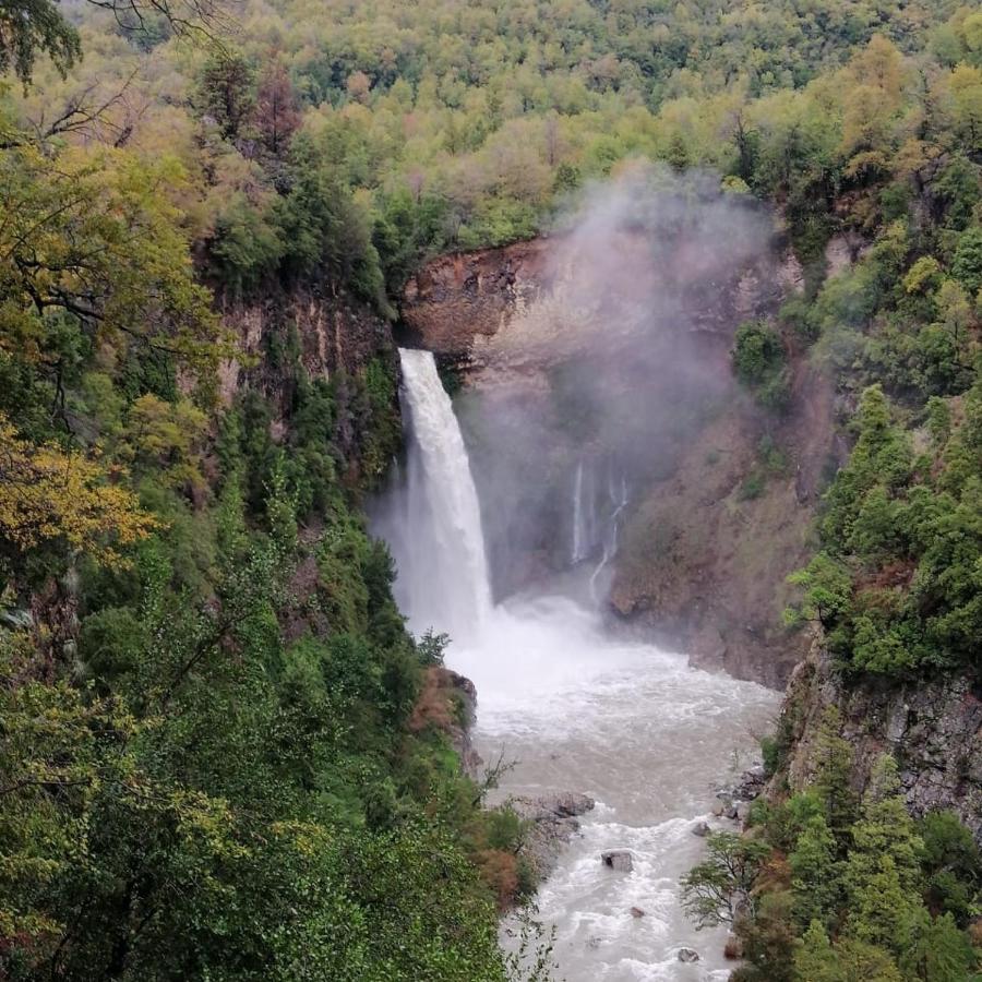 Refugio Del Salto -Radal 7 Tazas Villa Molina  Exteriör bild