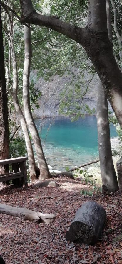 Refugio Del Salto -Radal 7 Tazas Villa Molina  Exteriör bild