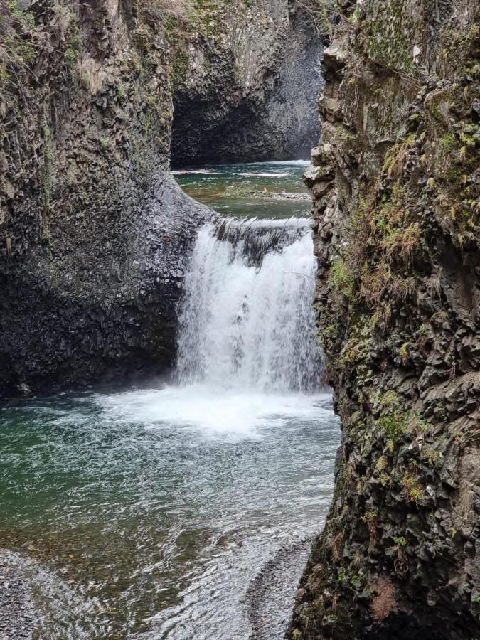 Refugio Del Salto -Radal 7 Tazas Villa Molina  Exteriör bild